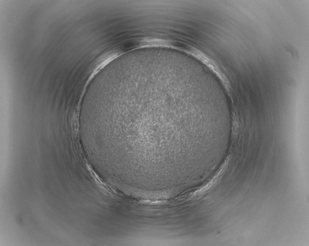 X0000116001145200912031503