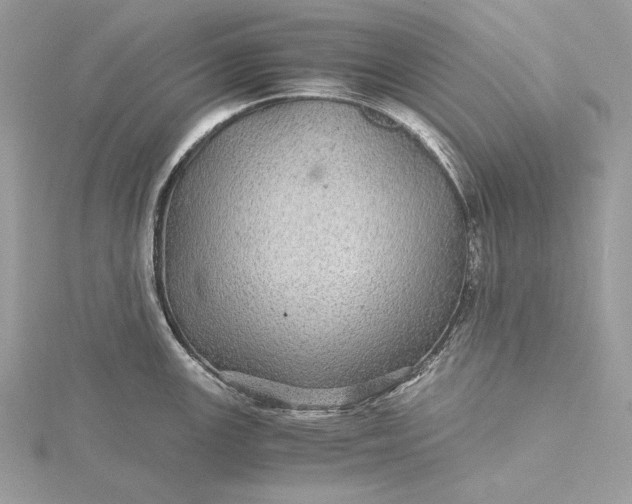 X0000116001147200912031503