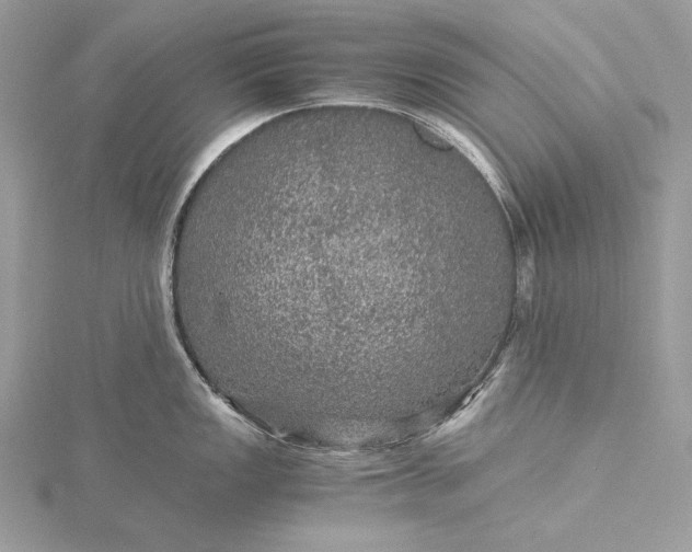 X0000116001149200912031503