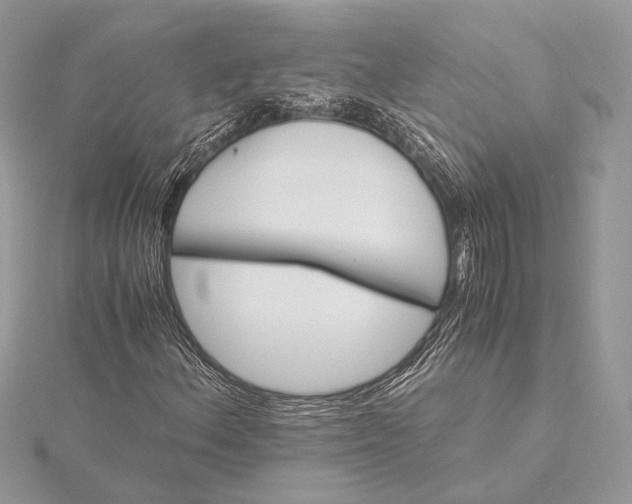 X0000116001156200912031502