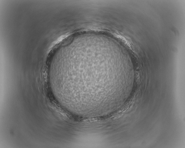 X0000116001159200912031502