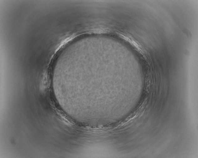 X0000116001160200912031502