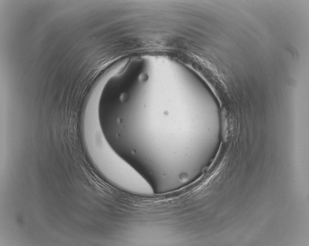 X0000116001161200912031502