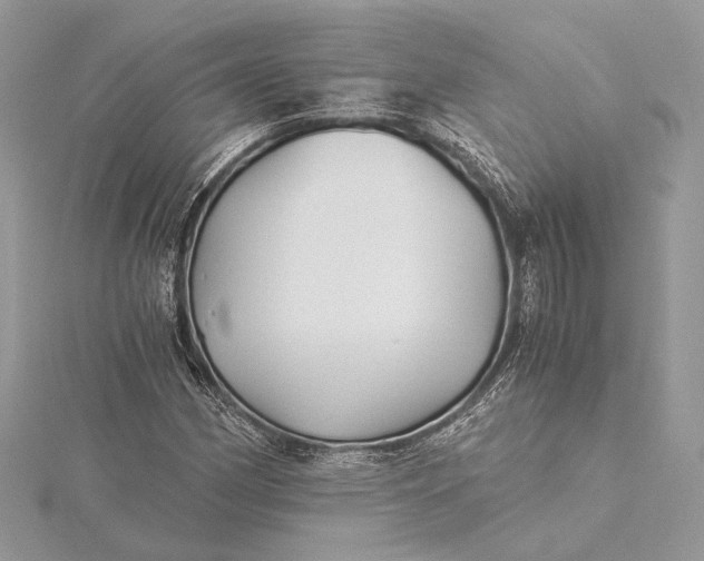 X0000116001162200912031502