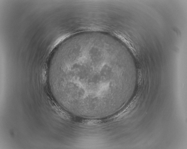 X0000116001163200912031502