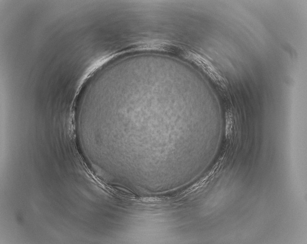 X0000116001164200912031502