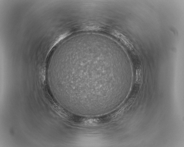 X0000116001165200912031502