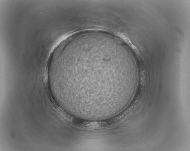 X0000116001167200912031502