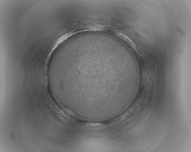 X0000116001168200912031502