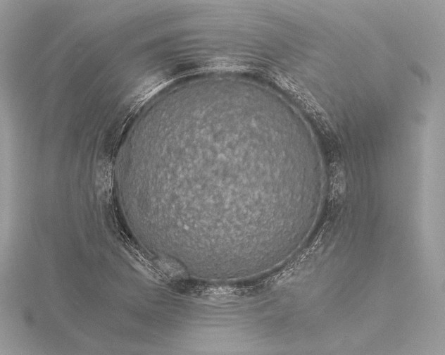 X0000116001169200912031502