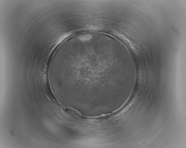 X0000116001170200912031502