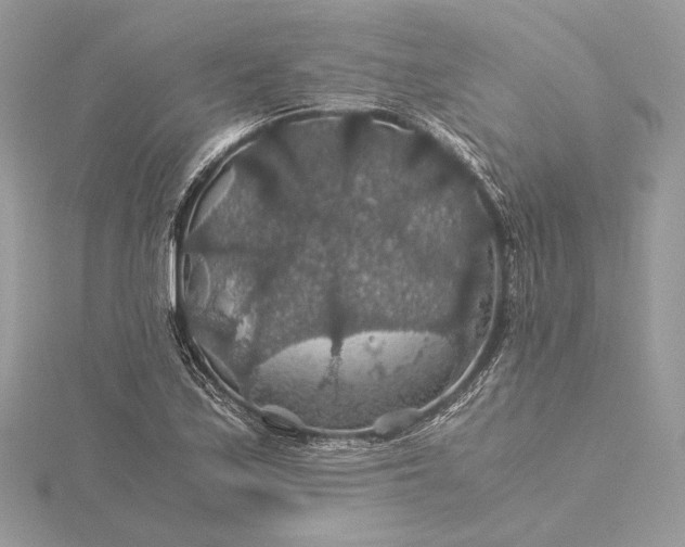 X0000116001171200912031502