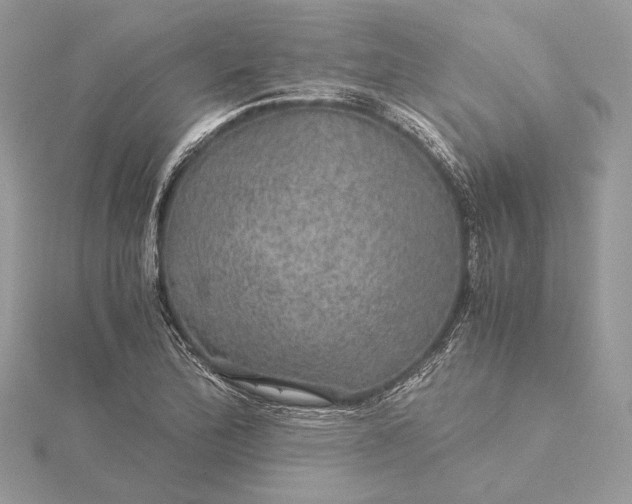 X0000116001172200912031502