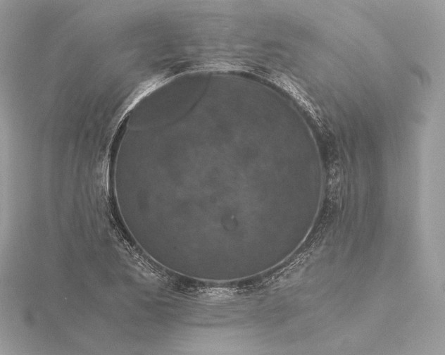 X0000116001173200912031502