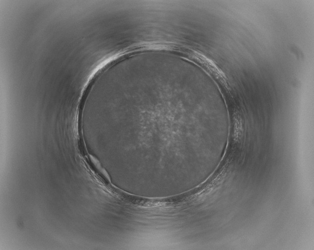 X0000116001174200912031502