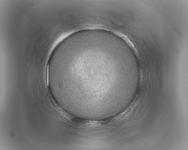 X0000116001175200912031502