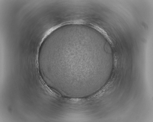 X0000116001176200912031502