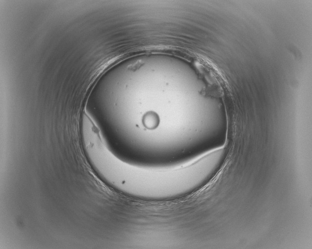 X0000116001177200912031502