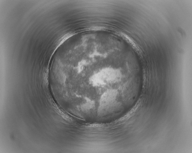 X0000116001178200912031502