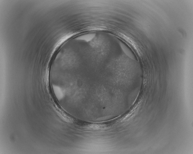 X0000116001179200912031502