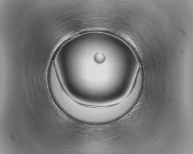 X0000116001181200912031502