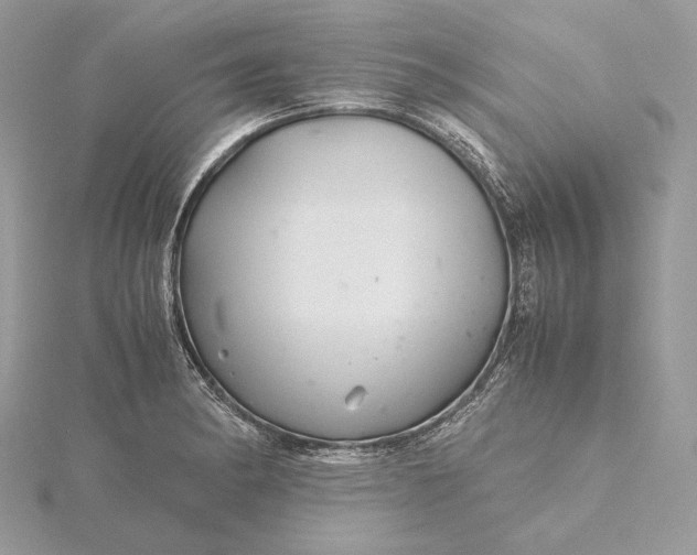 X0000116001182200912031502