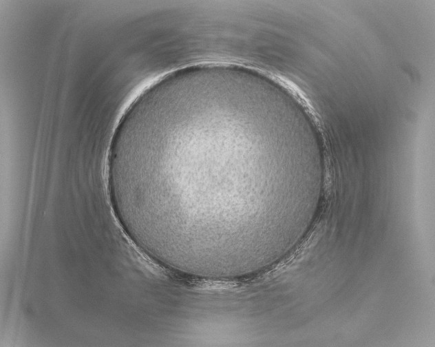 X0000116001183200912031502