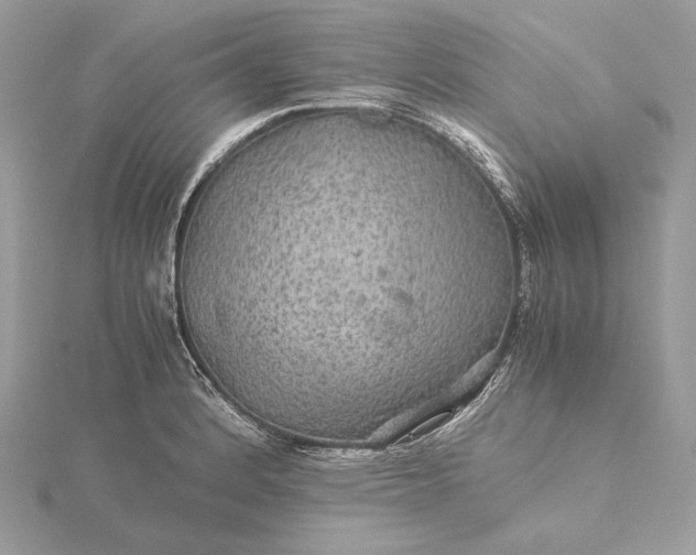 X0000116001184200912031502