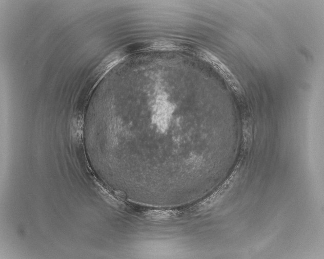 X0000116001185200912031502