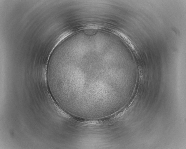 X0000116001186200912031502