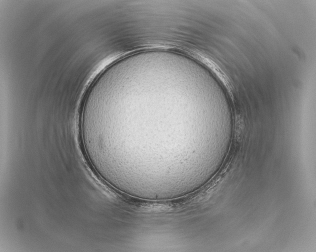 X0000116001187200912031502