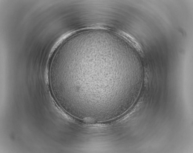 X0000116001188200912031502