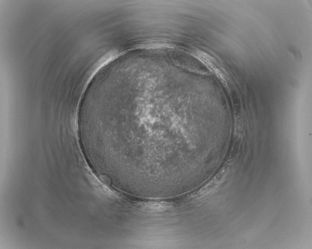 X0000116001189200912031502