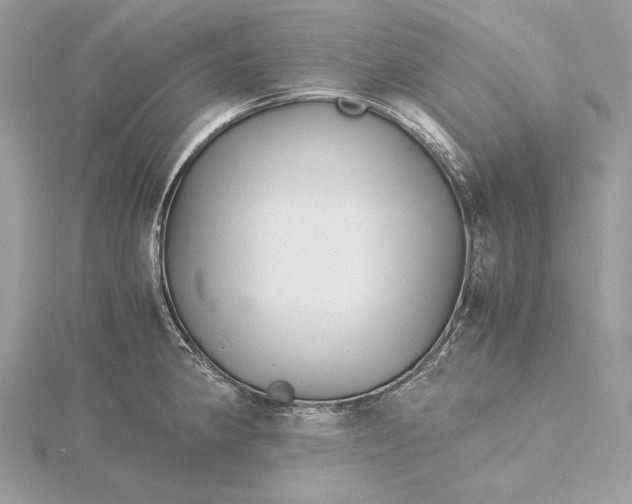 X0000116001190200912031502