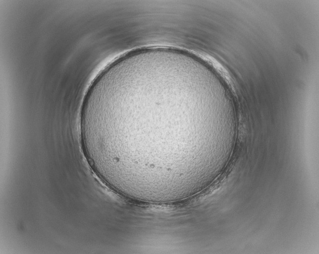 X0000116001191200912031502