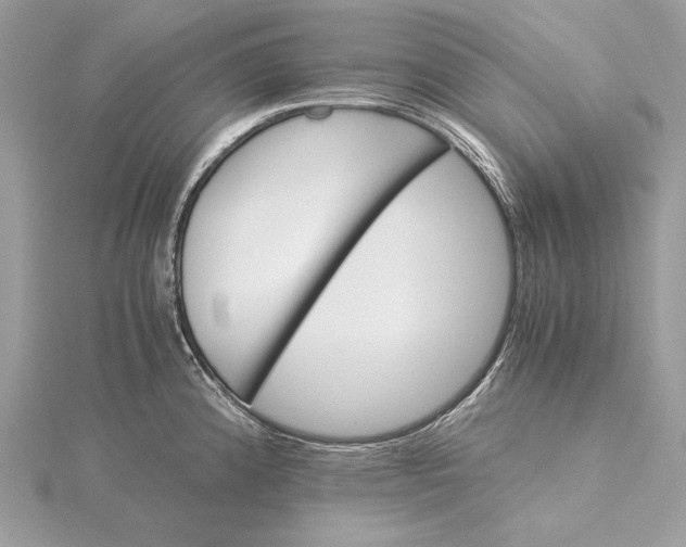 X0000116001192200912031502