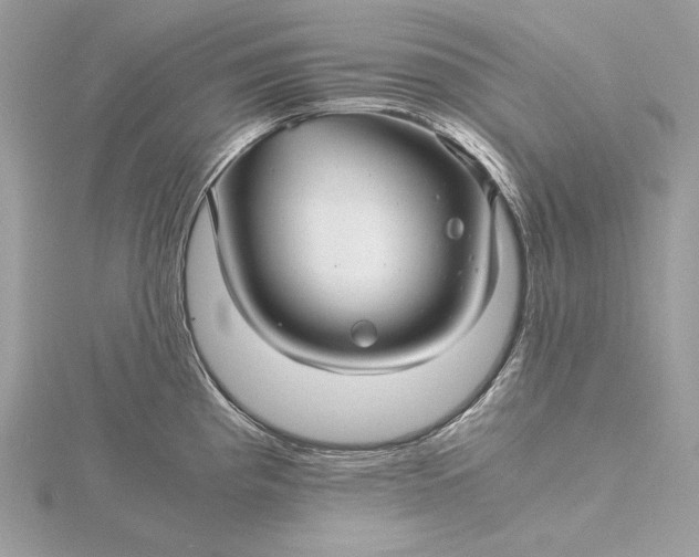 X0000116001193200912031502