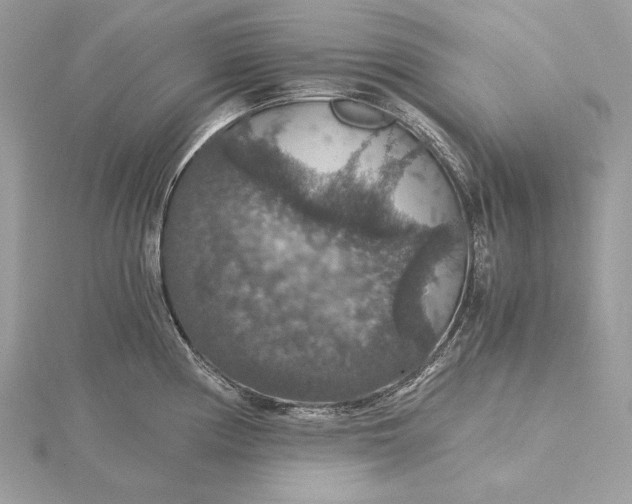 X0000116001194200912031502