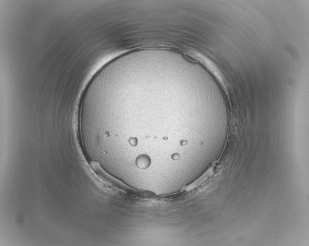 X0000116001195200912031502