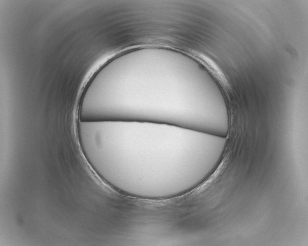 X0000116001196200912031502