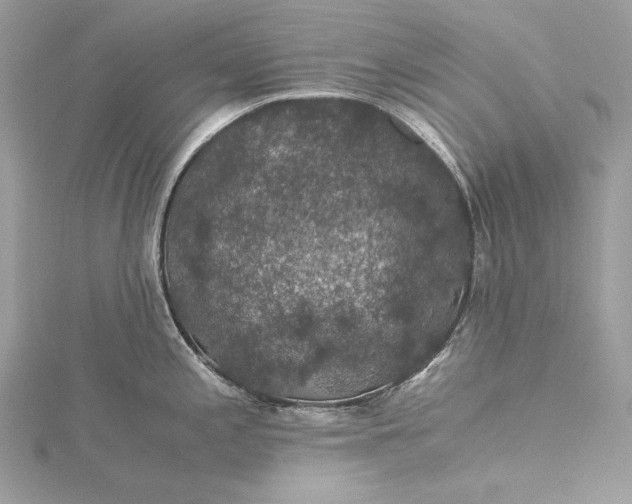 X0000116001197200912031502