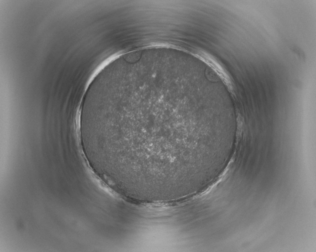 X0000116001198200912031502