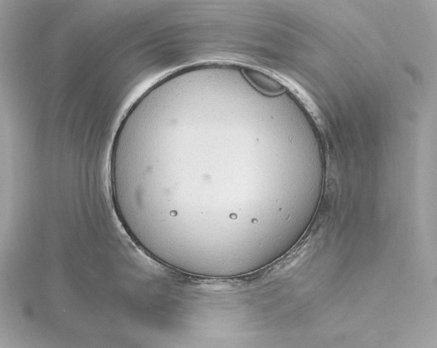 X0000116001199200912031502