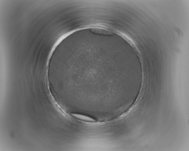 X0000116001200200912031502