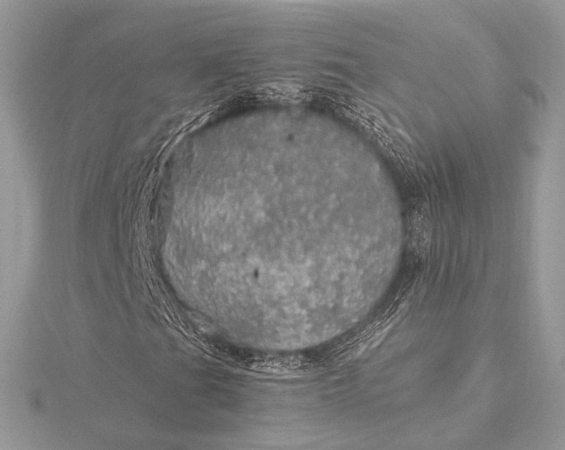 X0000116001201200912031501