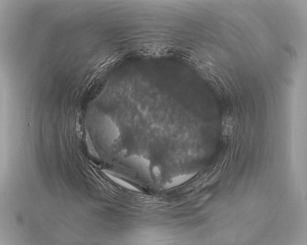 X0000116001202200912031501