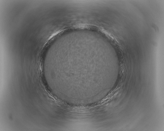 X0000116001206200912031501