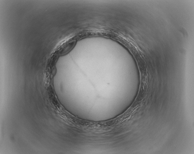 X0000116001207200912031501