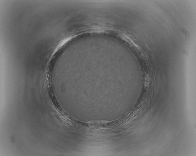 X0000116001208200912031501