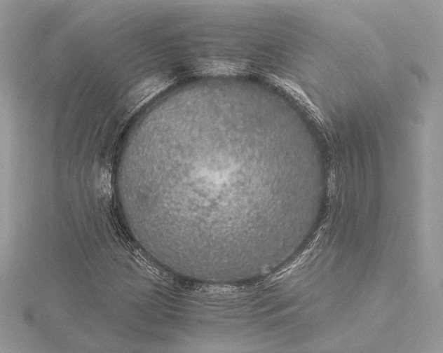 X0000116001209200912031501